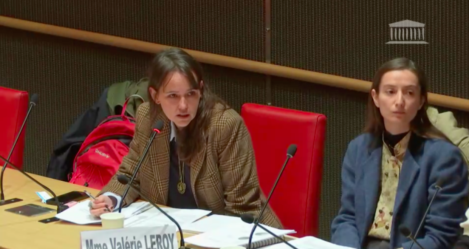 sca-audition-du-sca-a-l-assemblee-par-la-commission-d-enquete-sur-les-violences-dans-le-cinema_capture-decran-2024-11-29-a-14.58.34.png
