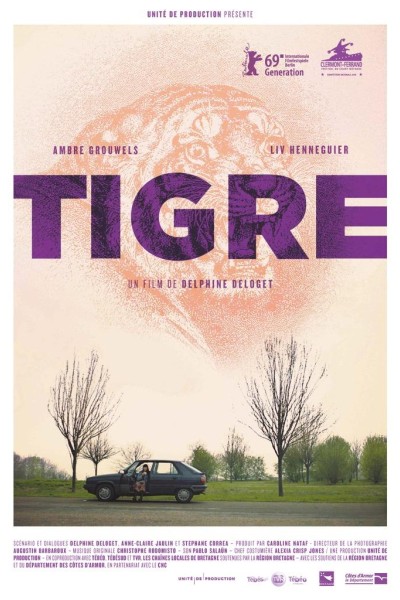 sca-anne-claire-jaulin_affiche-tigre.jpeg