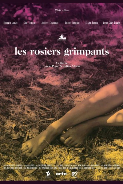 sca-lucie-prost_affiche-les-rosiers-grimpants-800.jpeg